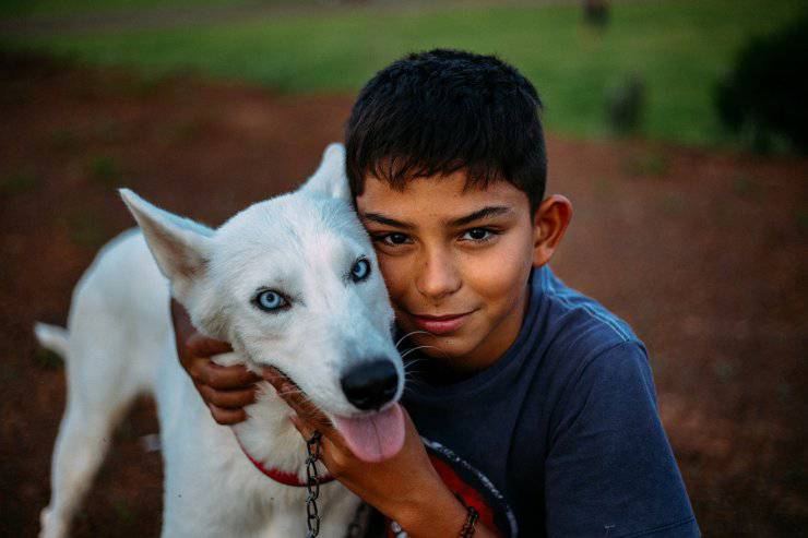 Cane e padrone