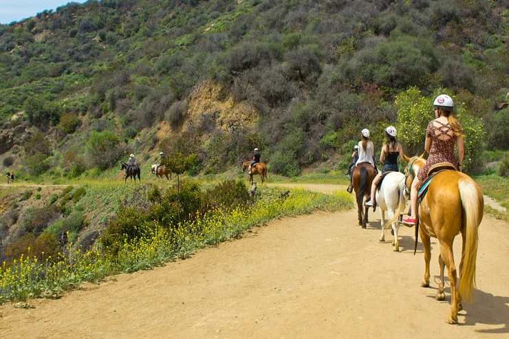 preparare cavallo passeggiata