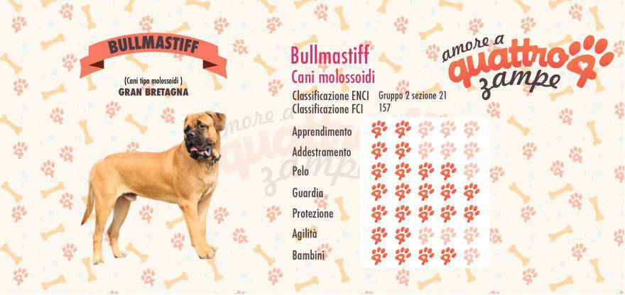 Bullmastiff scheda razza
