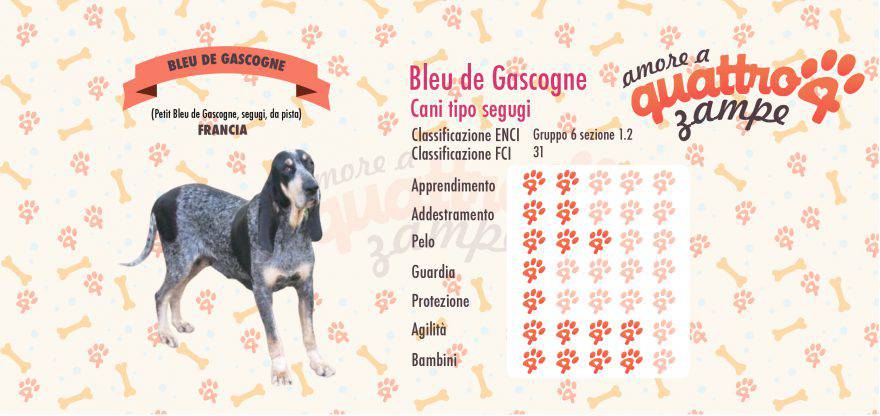 Bleu de Gascogne scheda razza