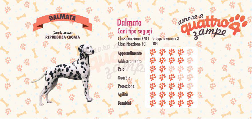 dalmata scheda razza