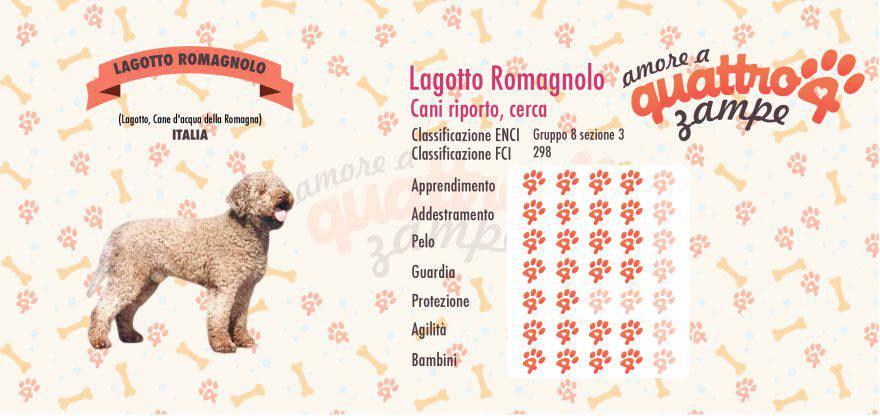Lagotto Romagnolo scheda razza