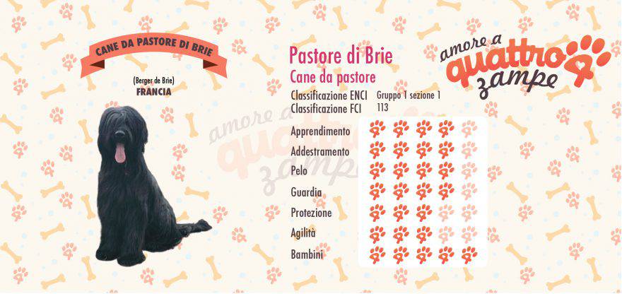 Cane da pastore di Brie scheda razza