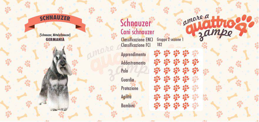 Schnauzer scheda razza