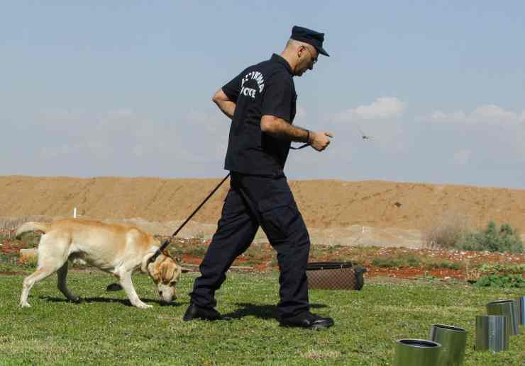 cane poliziotto all'azione (Foto Pixabay)