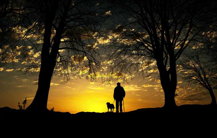 Cane e proprietario al tramonto (Foto Pixabay)