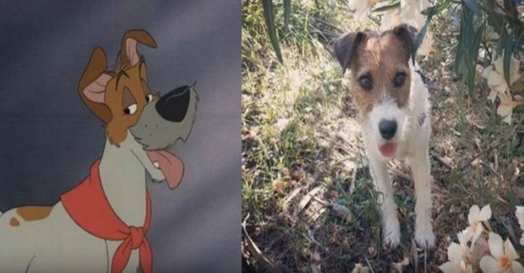 Cani dei cartoni animati nella realtà