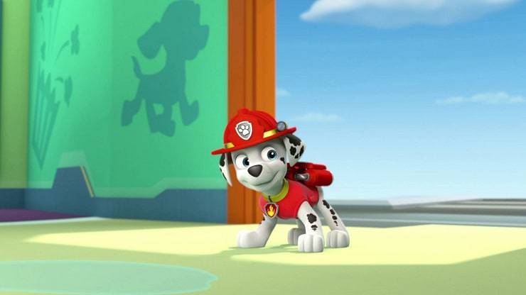 Cani e animali di Paw Patrol