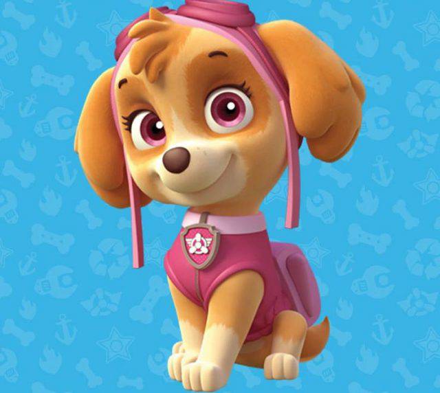 Paw Patrol La Squadra Dei Cuccioli Skye