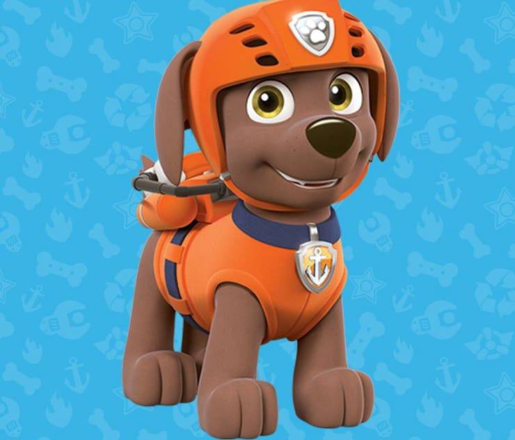 Cani e animali di Paw Patrol