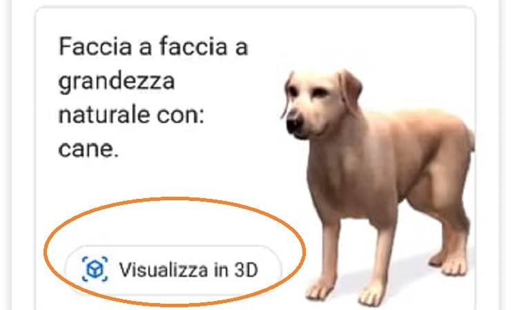 animali in 3D