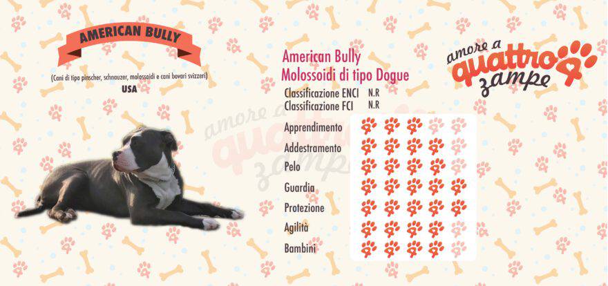 American Bully scheda razza
