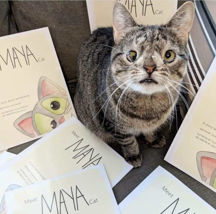 libro gatto maya