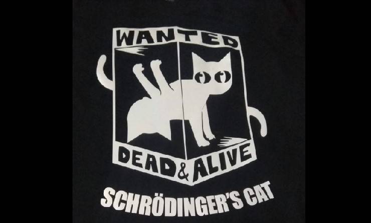 Il gatto di Schrödinger 