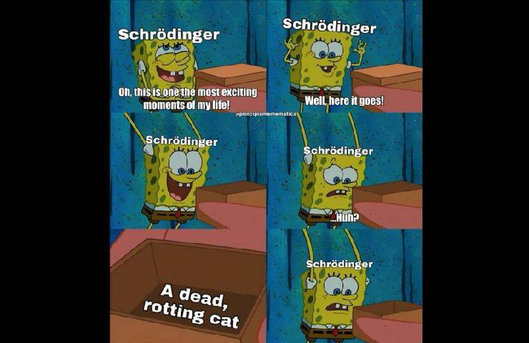 Il gatto di Schrödinger 