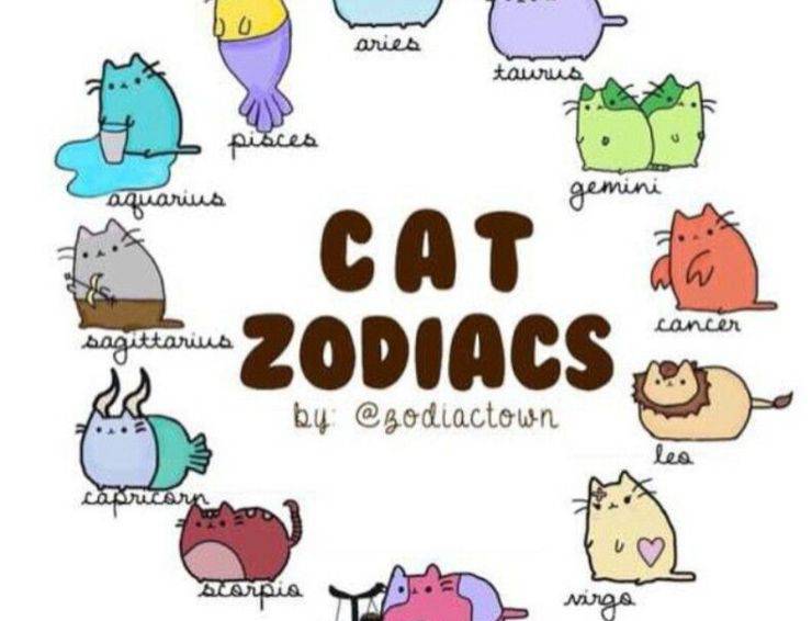 oroscopo gatto segno zodiacale