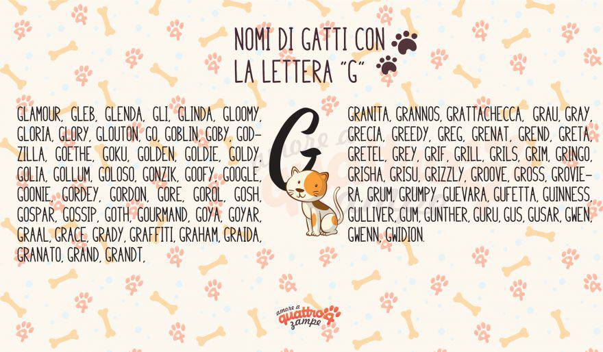 Nomi Di Gatti Maschi Bianchi E Neri