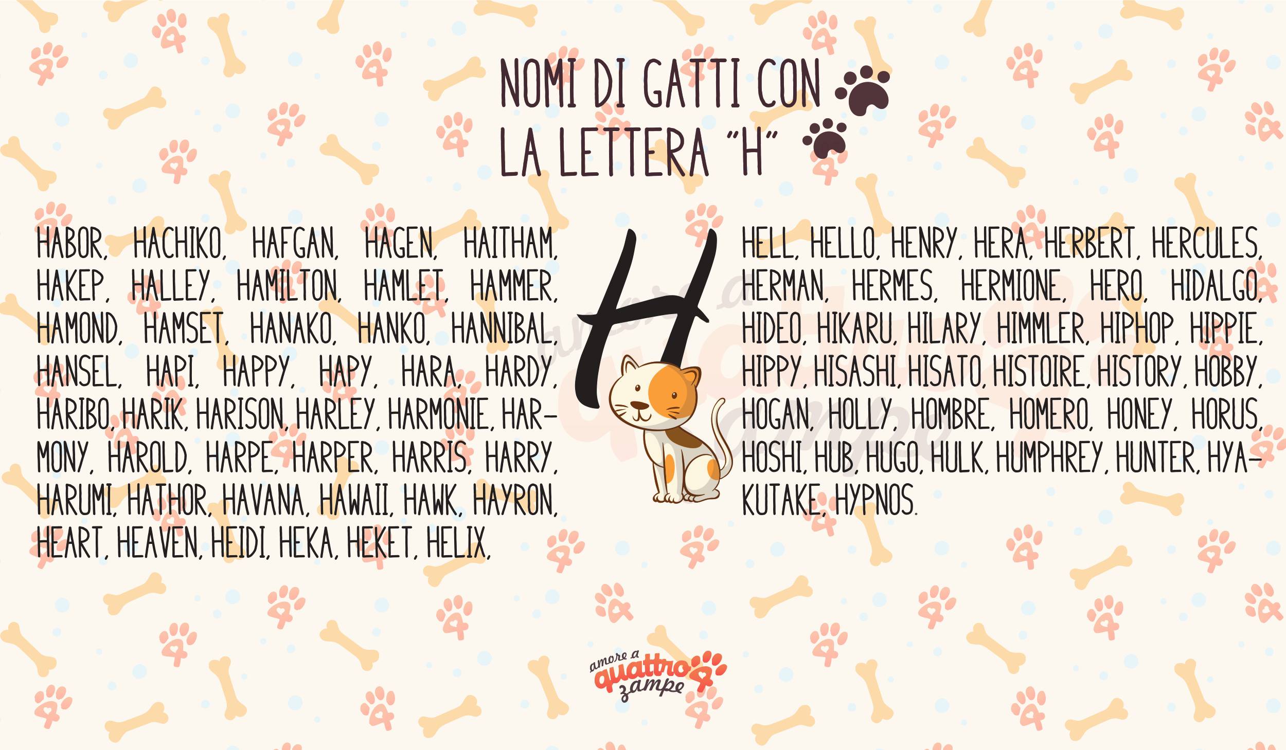 Infografica nomi gatti con la H