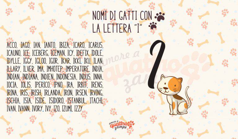 Nomi Di Gatti Maschi Bianchi E Neri