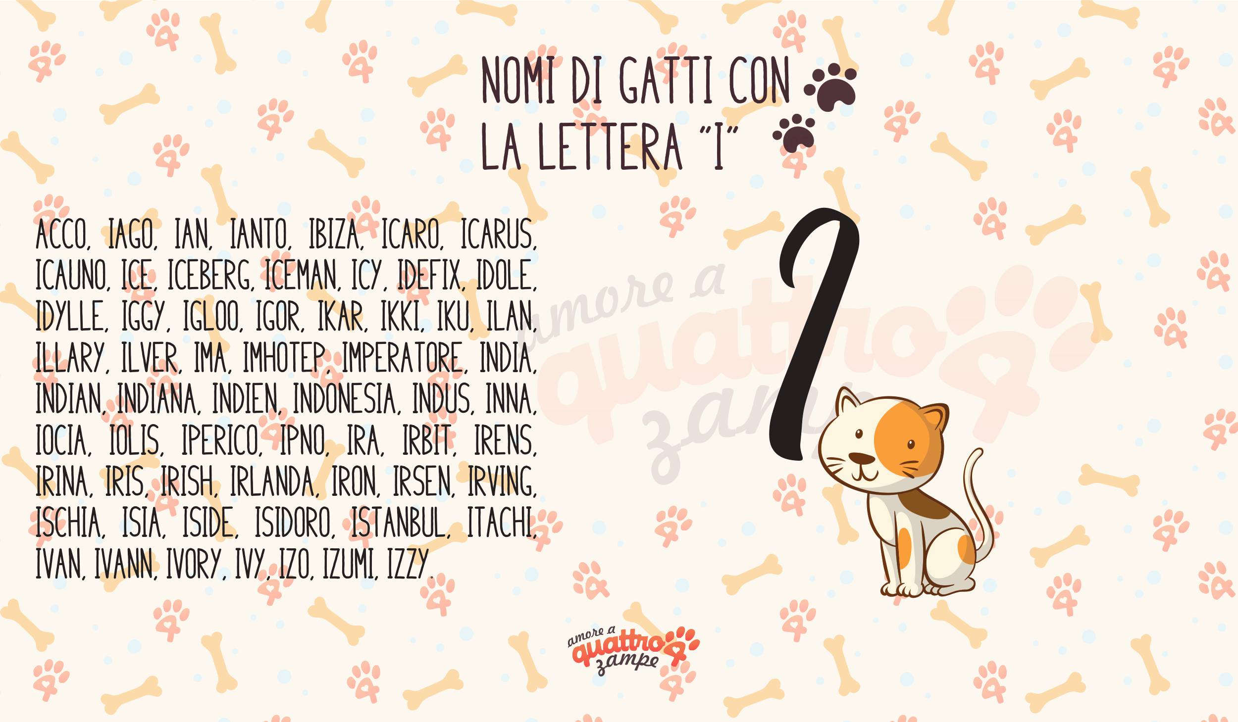 Infografica nomi gatti con la I