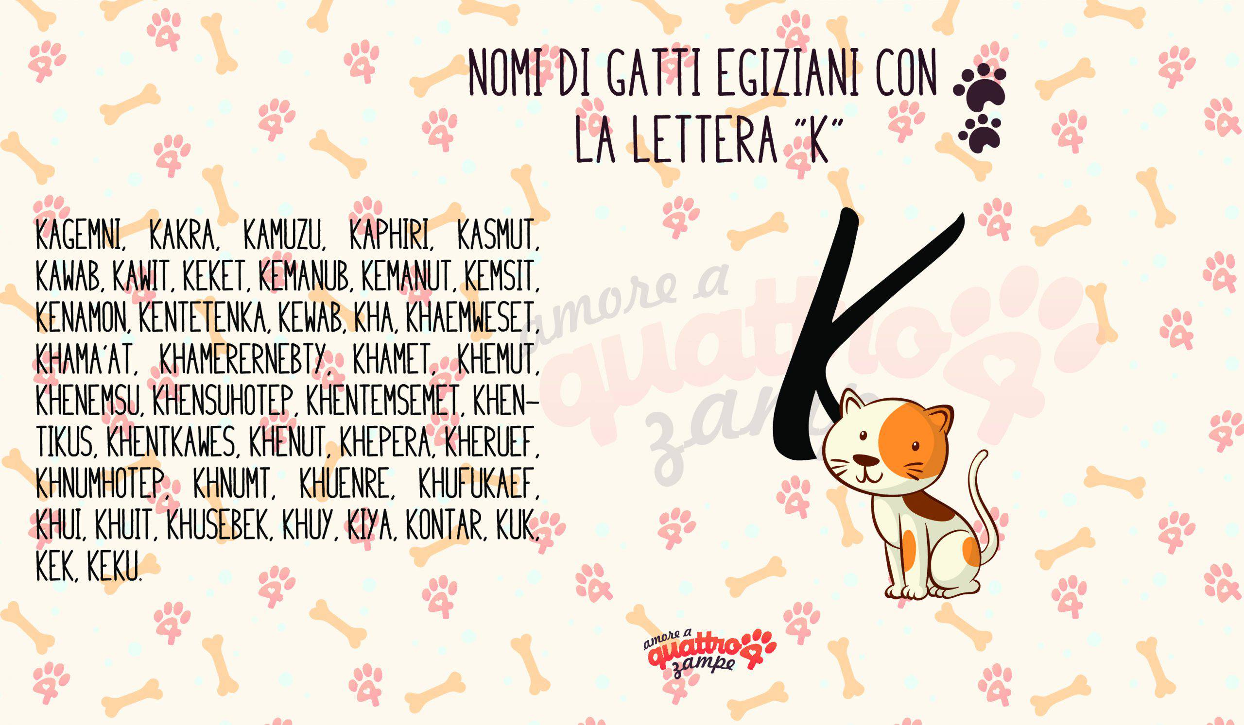 Infografica nomi gatti con la K