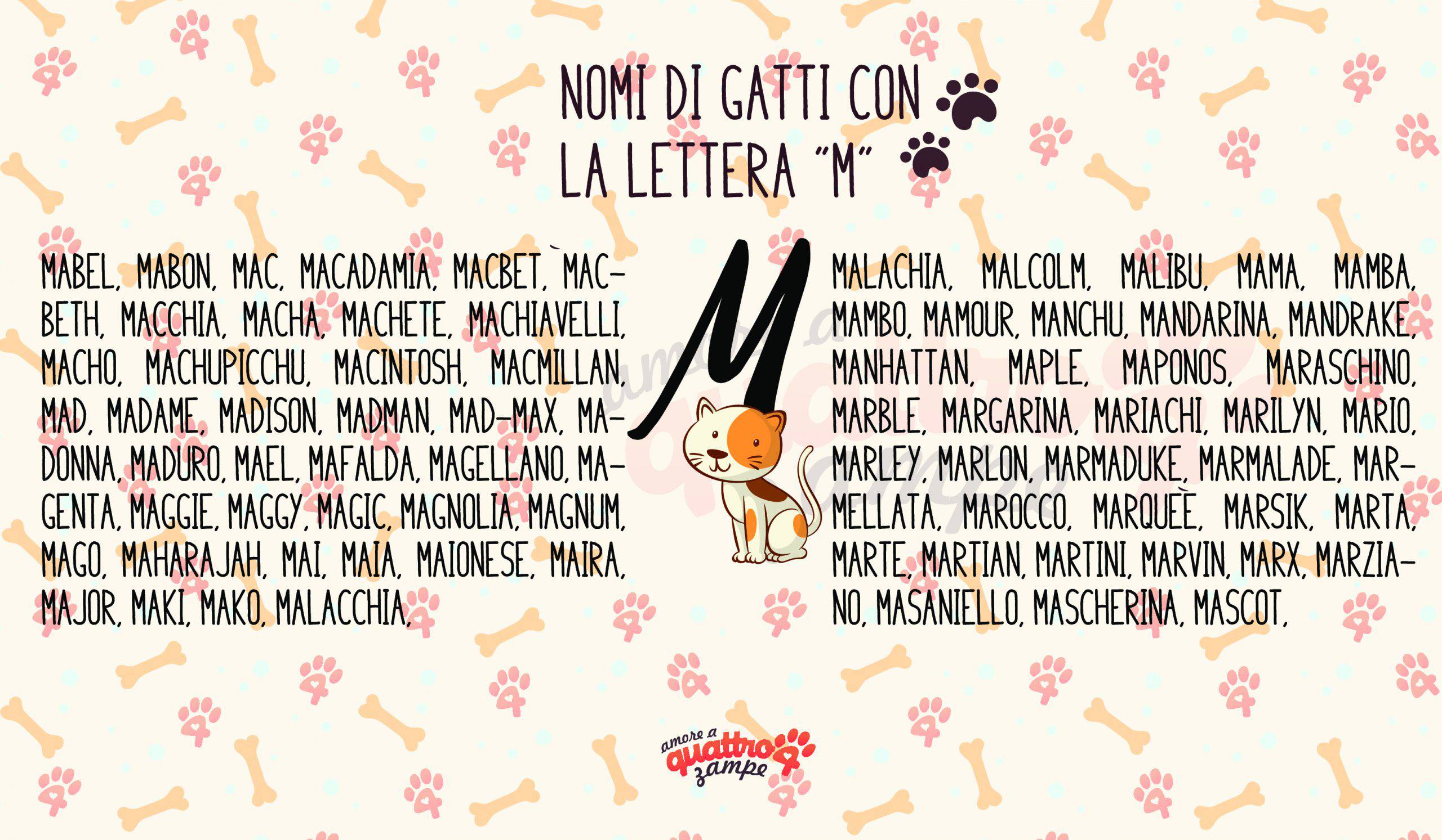 Infografica nomi gatti con la M