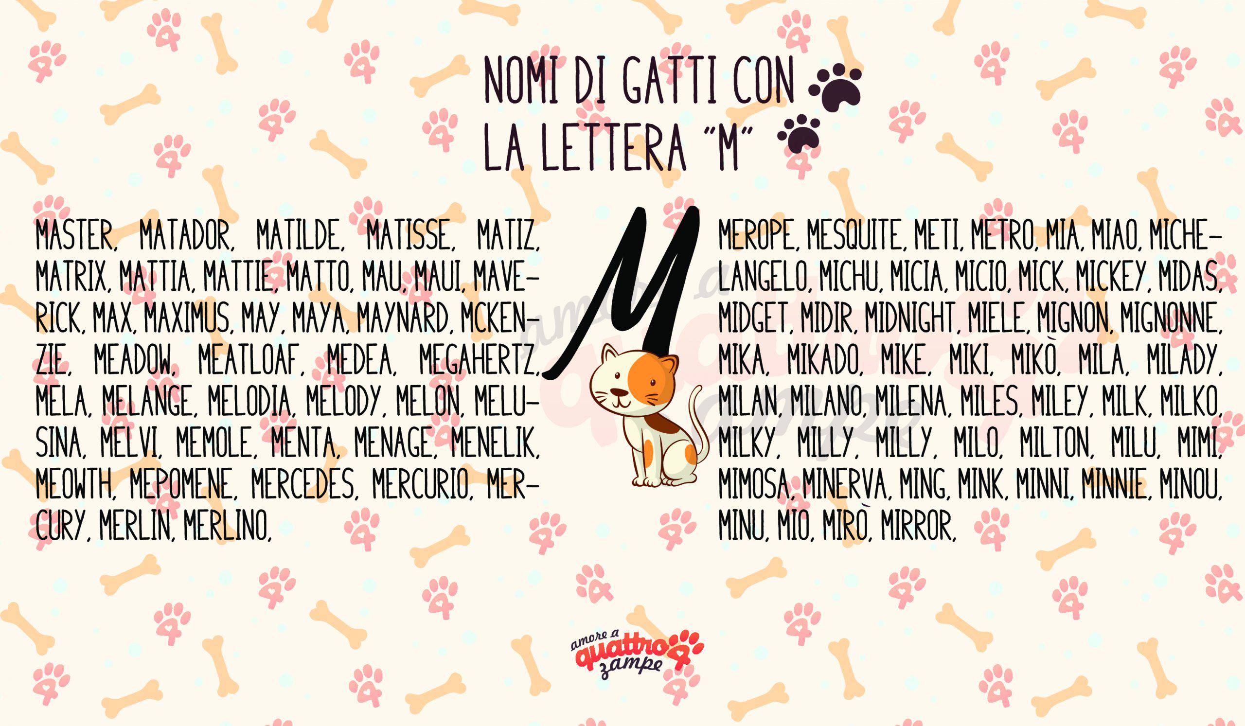 Infografica nomi gatti con la M