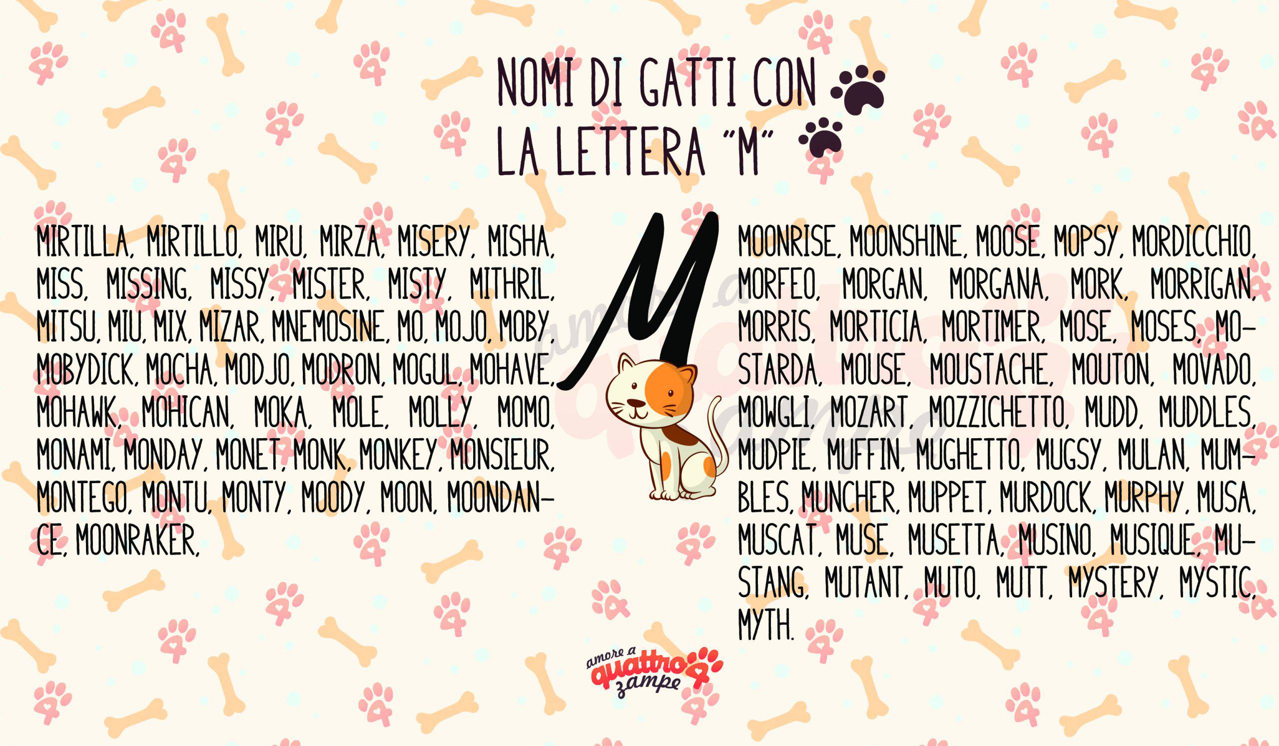 Nomi Di Gatti Femmine E Maschi Con La M Pi Di 260 Idee