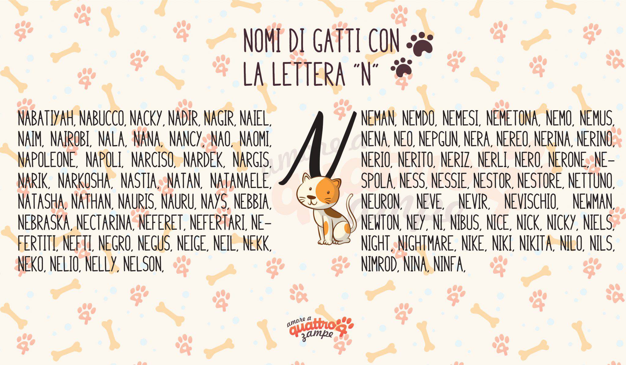 Nome Da Dare A Un Gatto Maschio