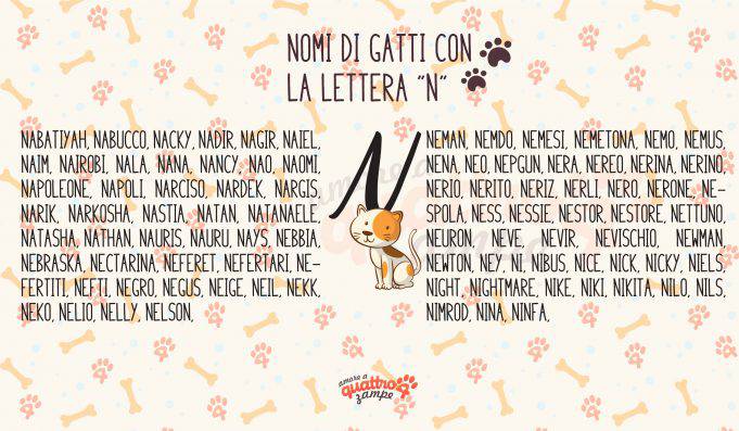 Nomi Di Gatti Maschi Bianchi E Neri