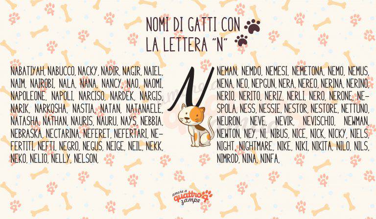 Nome Da Dare A Un Gatto Maschio