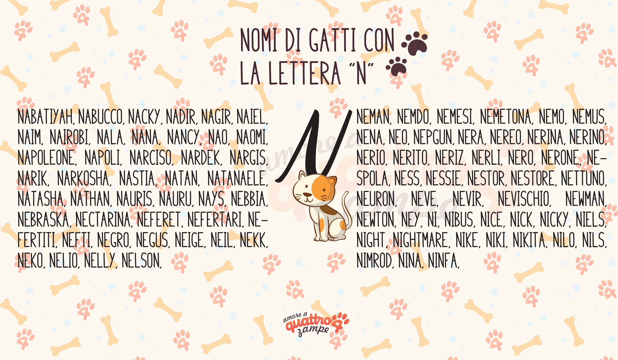 Infografica nomi gatti con la N