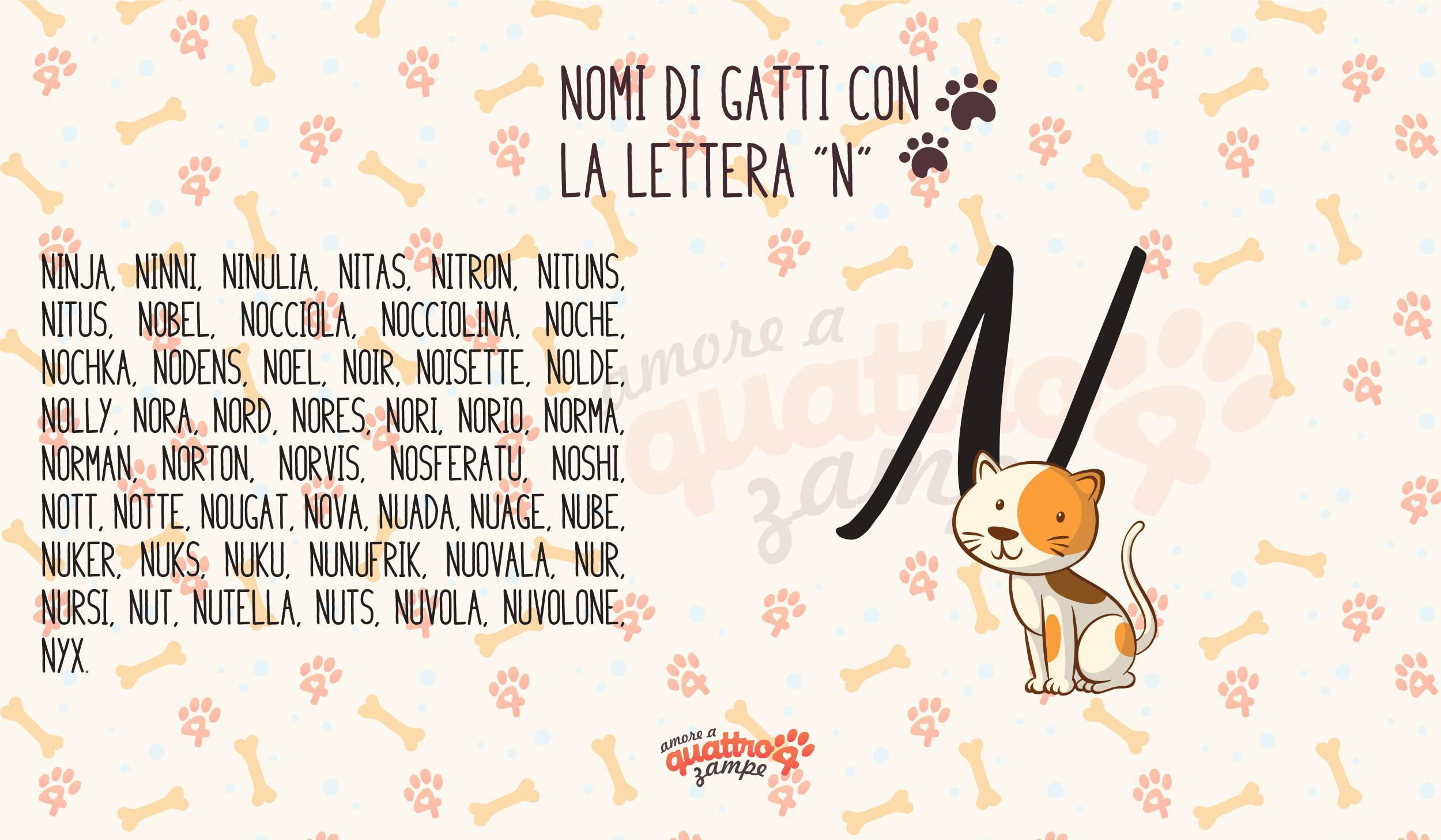Infografica nomi gatti con la N