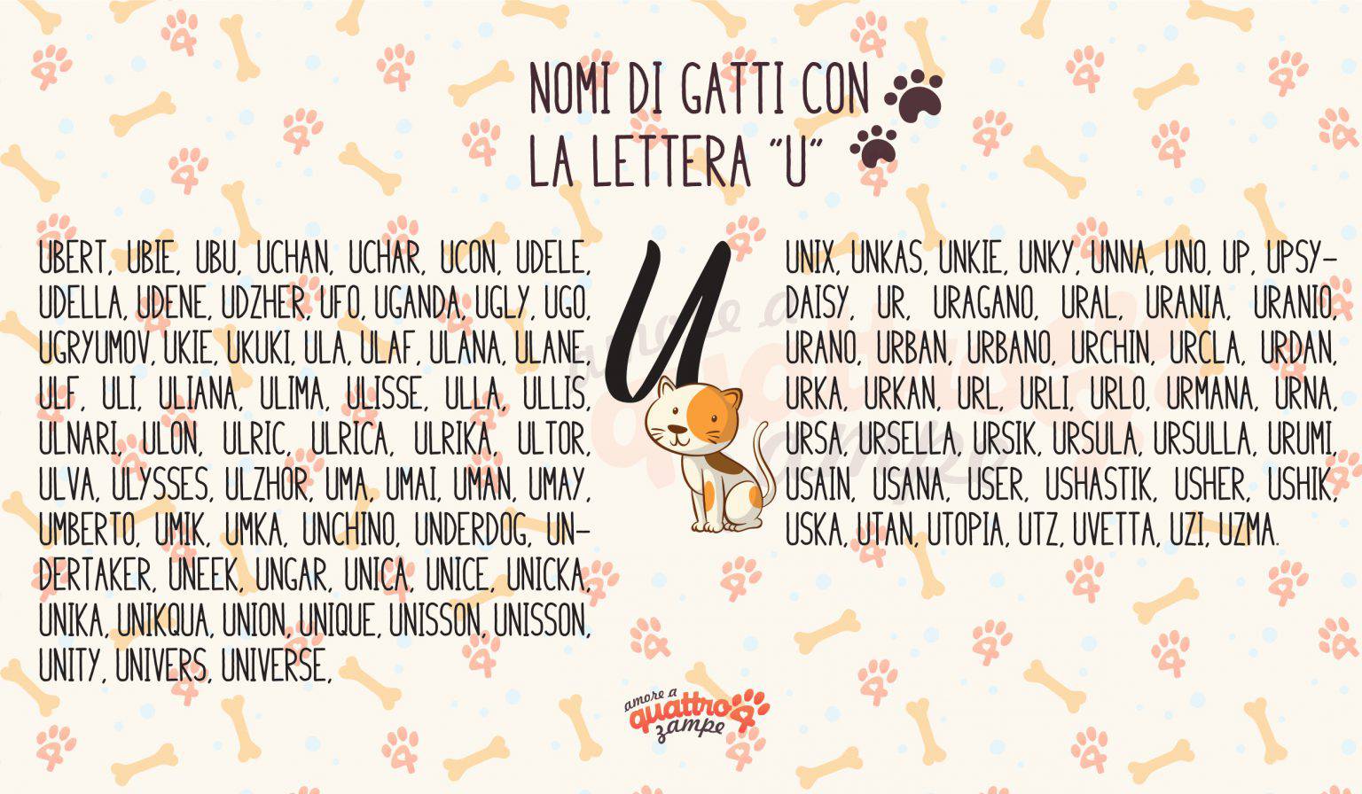 Nome Da Dare A Un Gatto Maschio