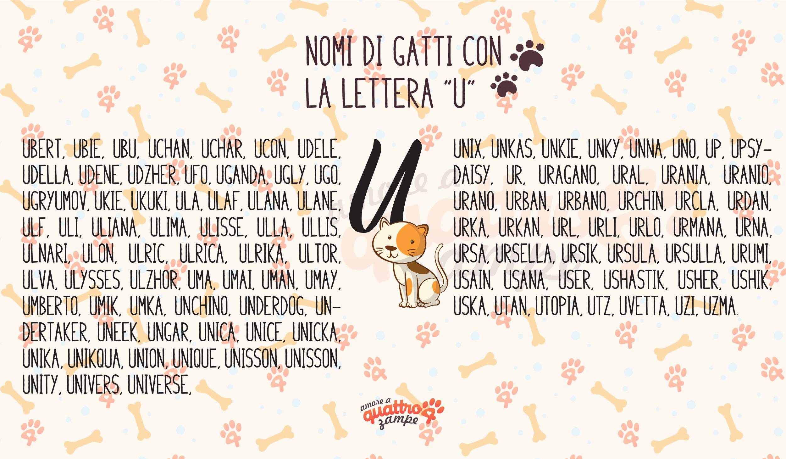 Infografica nomi gatti con la U
