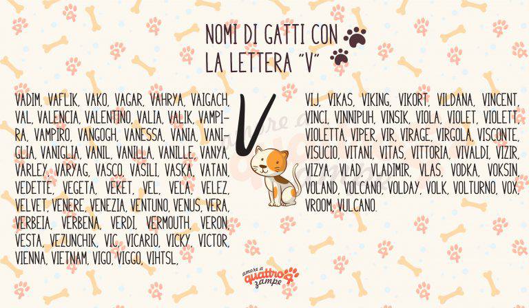 Nomi Di Gatti Maschi Bianchi E Neri