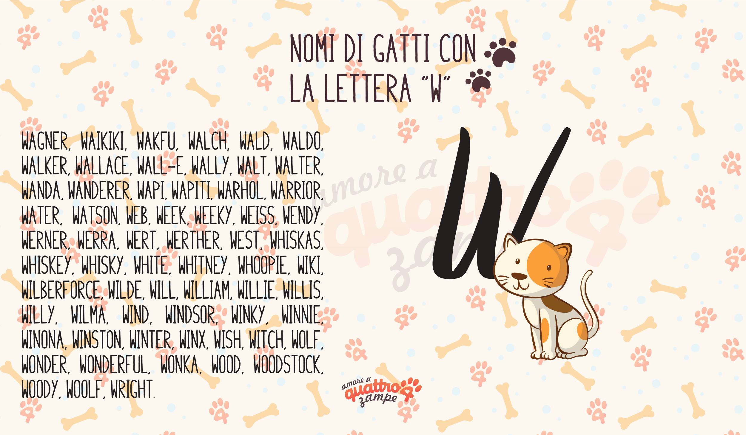 Infografica nomi gatti con la W