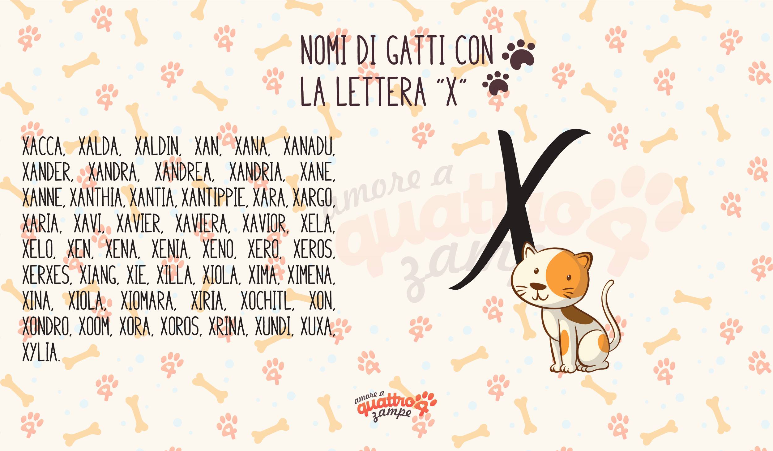 Nomi Di Gatti Femmine E Maschi Con La X Pi Di 50 Idee