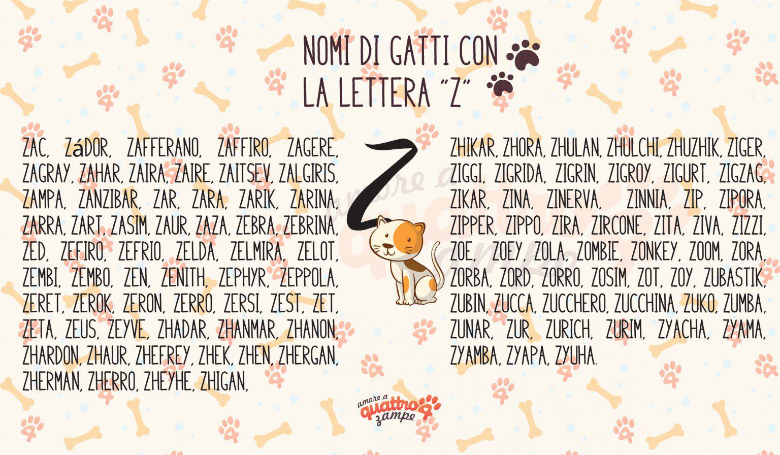 Nome Da Dare A Un Gatto Femmina
