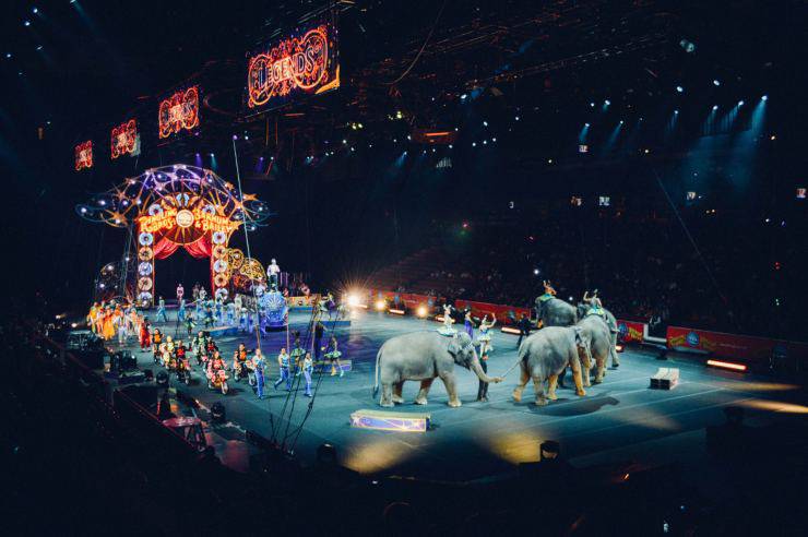 circo con animali