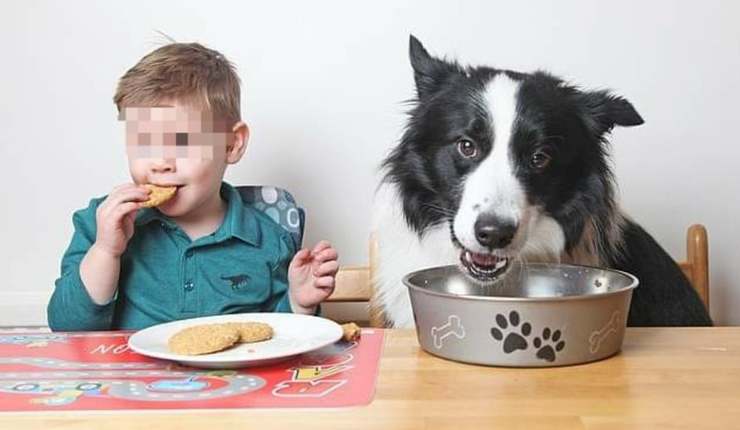 Bambino con cane