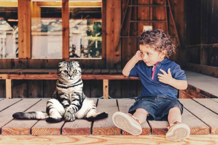 cane e bambino