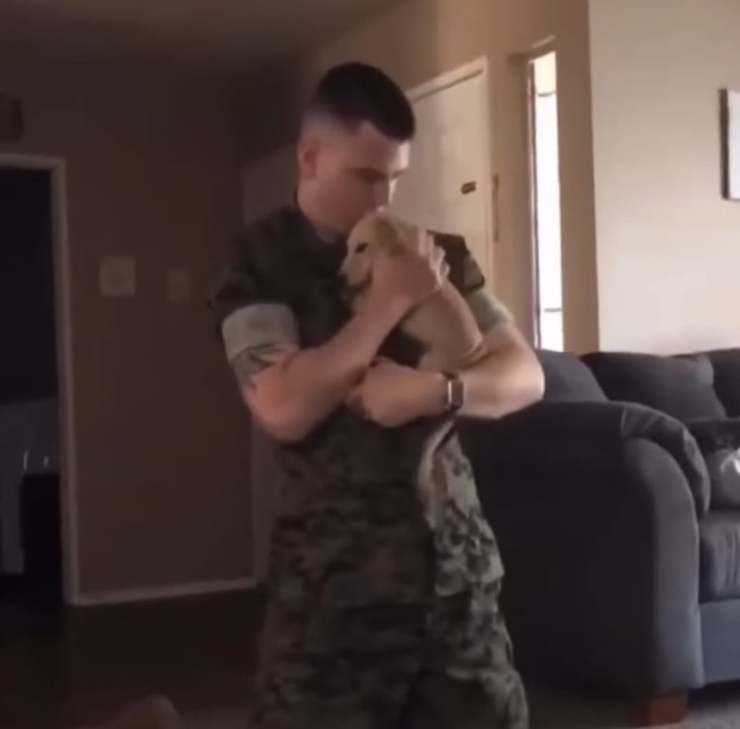 il cane e il soldato 