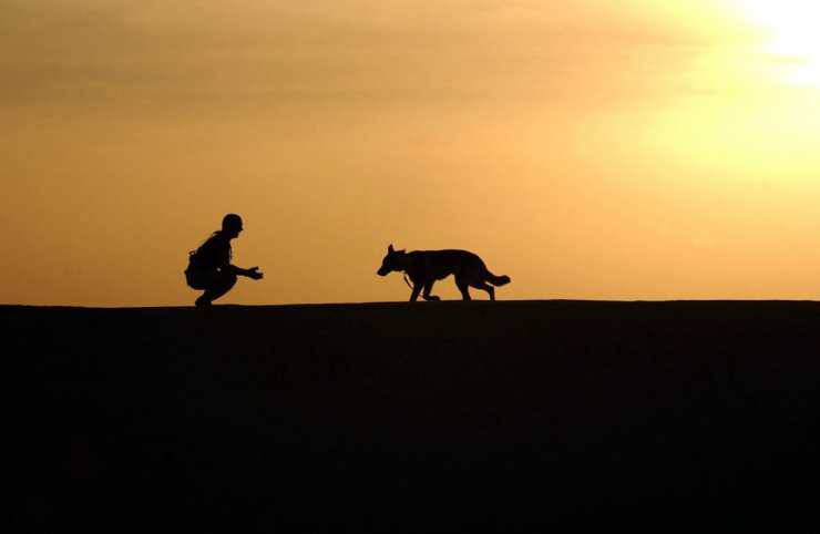 Fotografia romantica tra cane e padrone (Foto Pixabay)