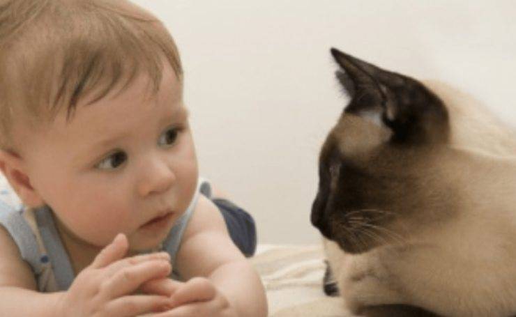 gatto e bambino