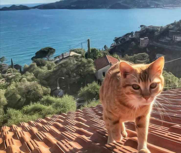 A spasso sopra i tetti (Foto Instagram)