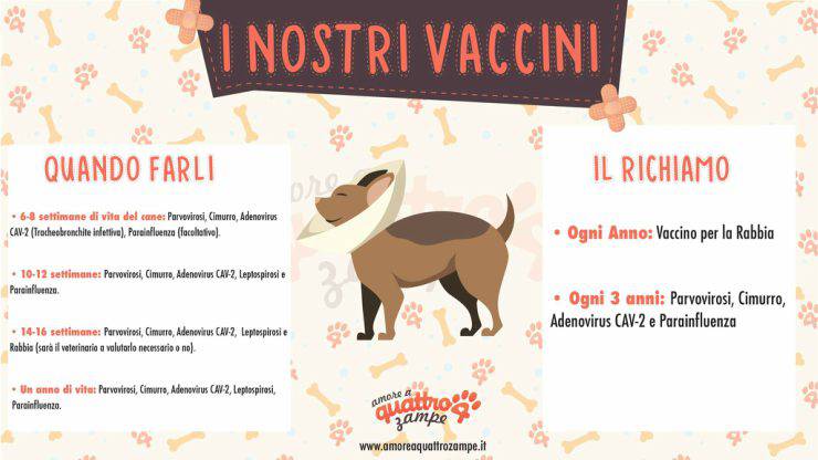 iconografica vaccinazioni