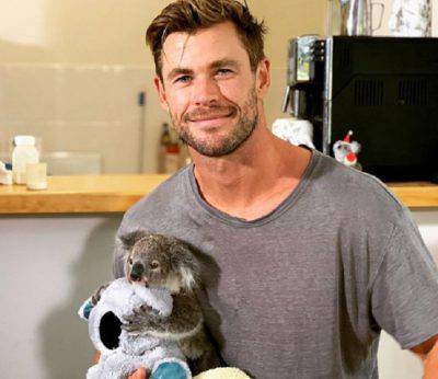 Chris Hemsworth koala