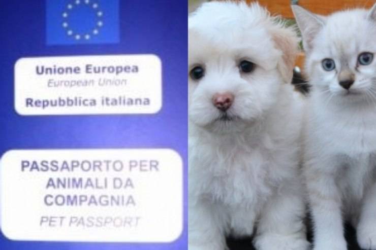 pet passport passaporto animali domestici