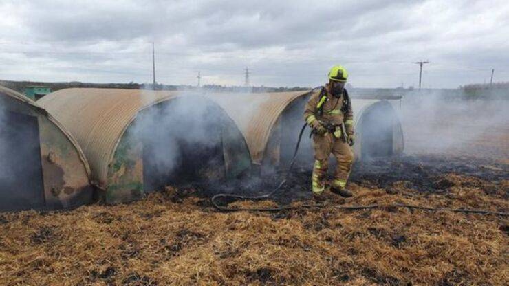 Incendio feci di maiale 